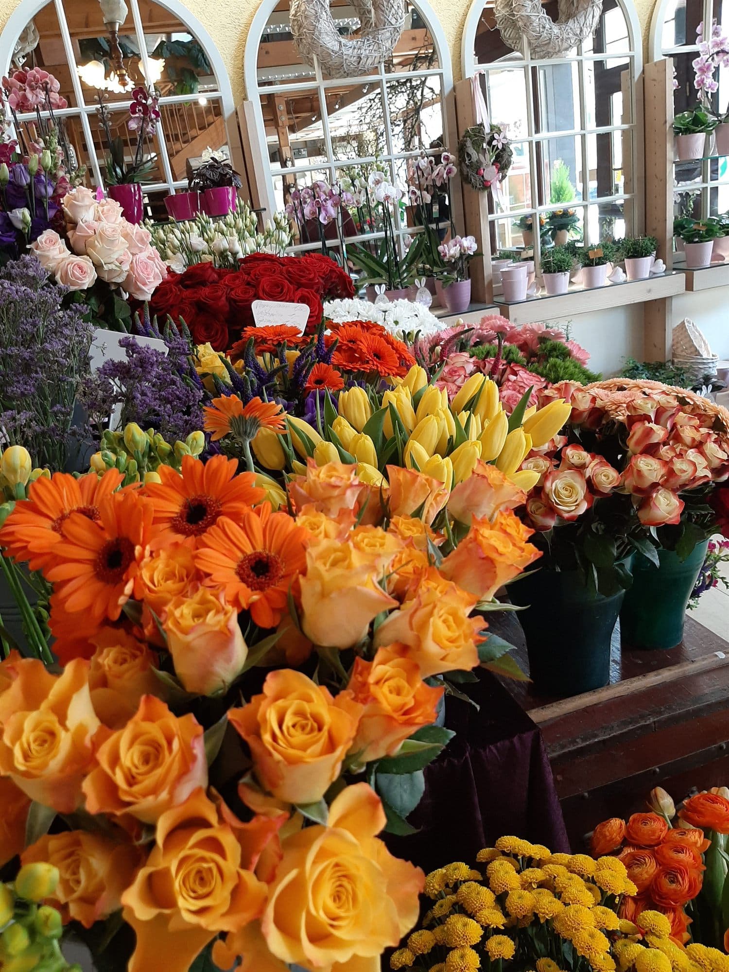 Blick in den Verkaufsraum mit Bogenfenstern und Eimern voller Gerbera, Rosen und Tulpen