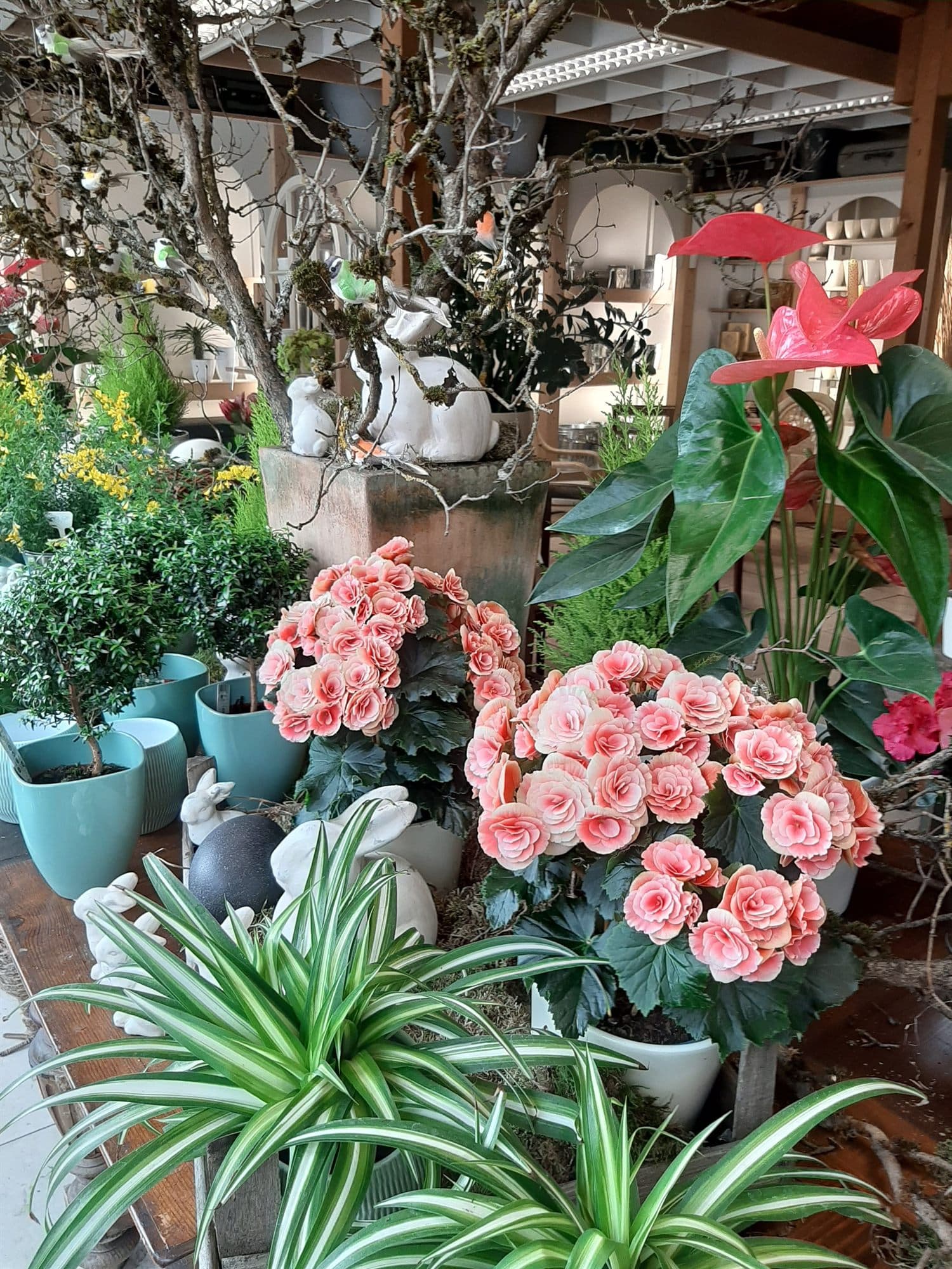 Grünpflanzen und Schnittblumen im Verkaufsraum des Blumenhauses