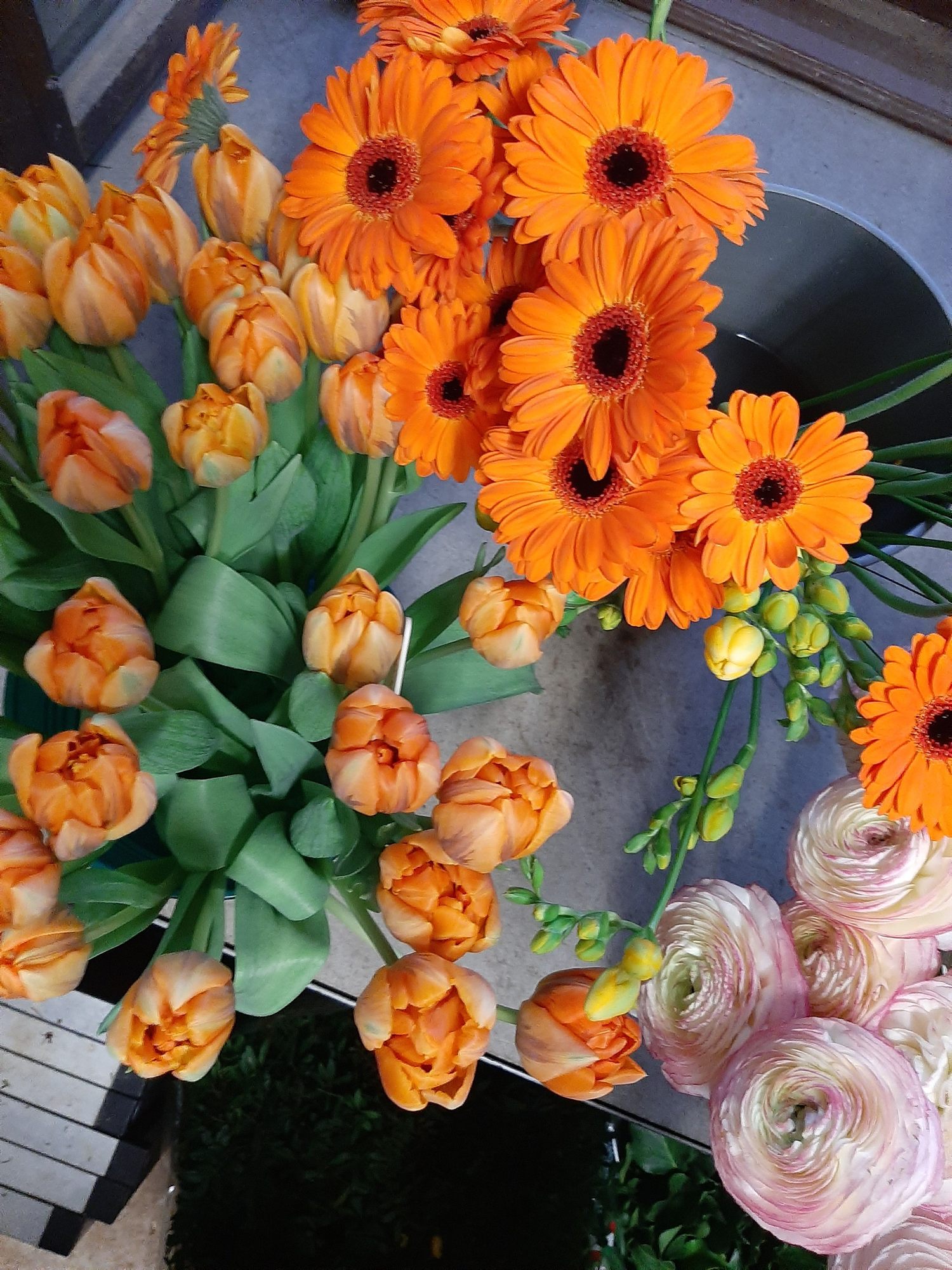 Orangefarbene Gerbera und Tulpen in Eimern