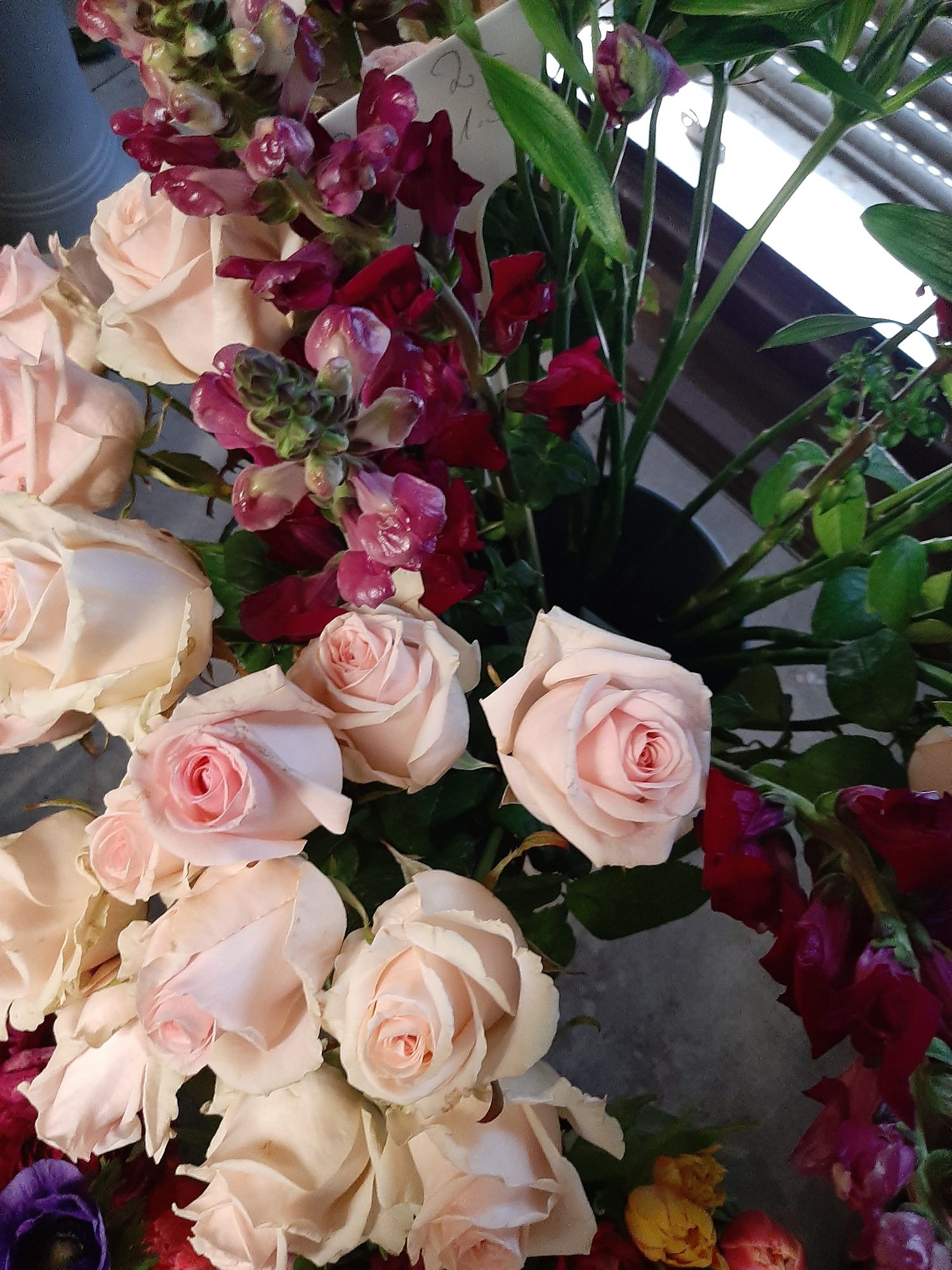 Rosafarbene Rosen und Gerbera in Zinkeimern