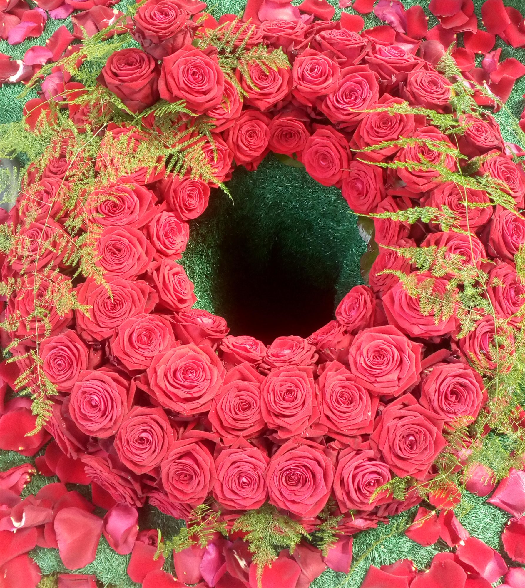 Dichter Kranz aus roten Rosen mit Asparagus, umgeben von Rosenblättern
